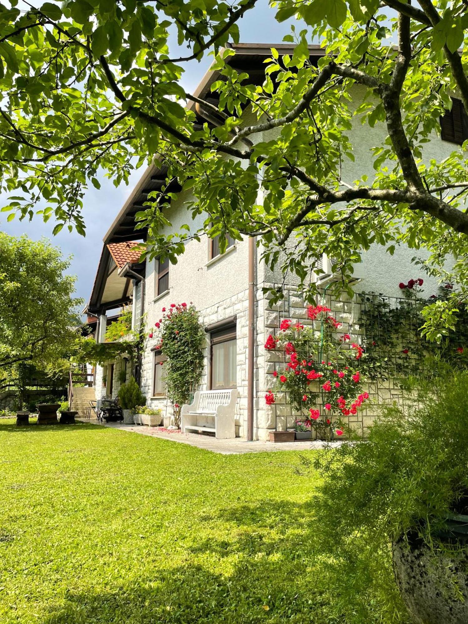 Apartma Savan Tolmin Buitenkant foto